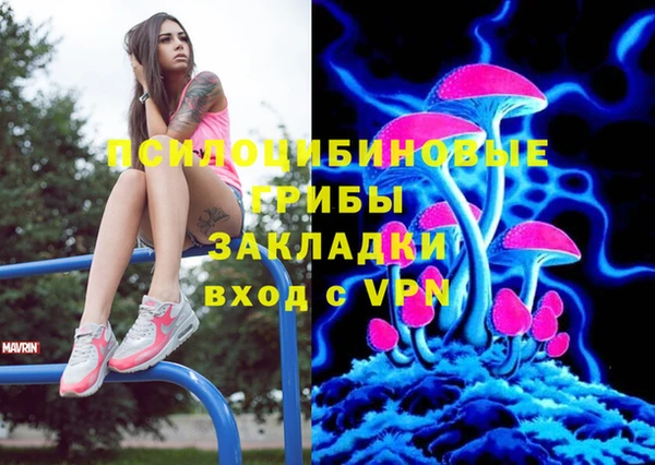 соль ск Гусиноозёрск
