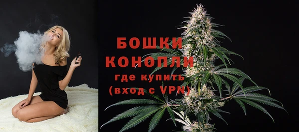 стафф Гусев