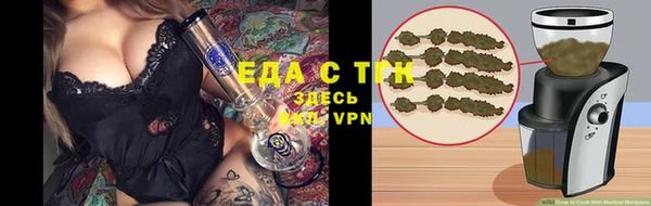 ПСИЛОЦИБИНОВЫЕ ГРИБЫ Горно-Алтайск