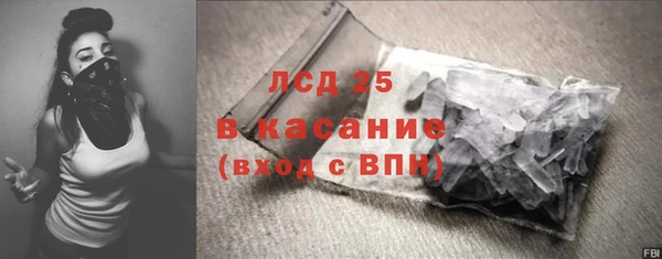 амф Горняк