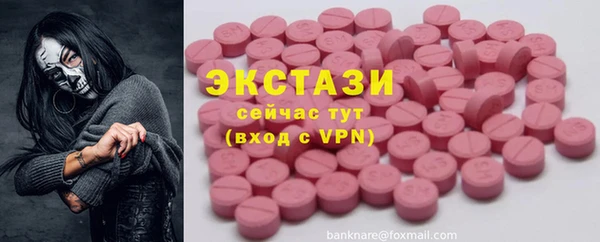 стафф Гусев