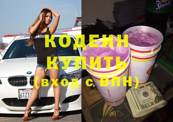 амф Горняк