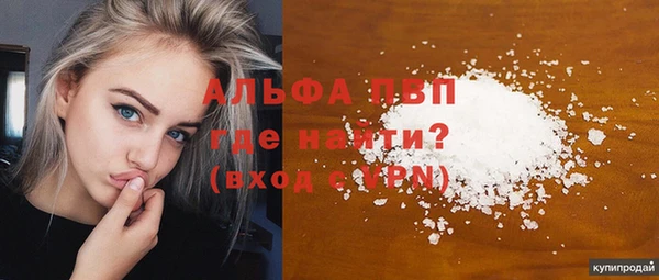 амф Горняк
