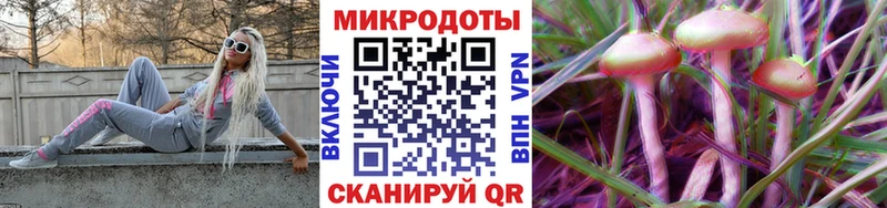 наркотики Славгород Галлюциногенные грибы GOLDEN TEACHER