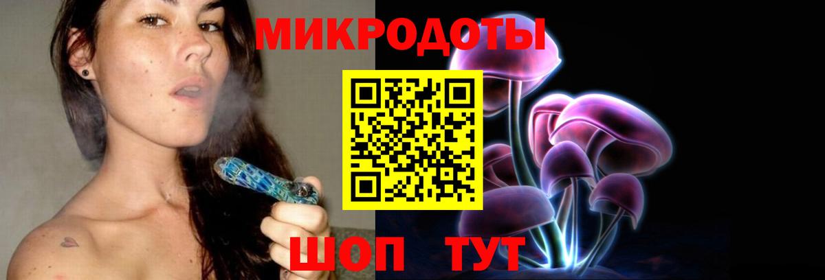 Псилоцибиновые грибы ЛСД  Псилоцибиновые грибы Psilocybine cubensis  Славгород  как найти закладки  Вход с VPN 